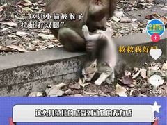 -昆明动物园