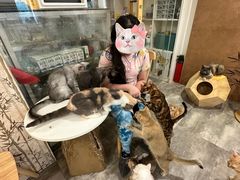 -楼上猫咖(罗湖店)