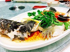 -北海渔村酒楼·粤菜海鲜点心(新华店)