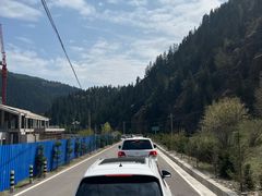 -芦芽山旅游度假区