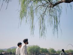 -石家庄市植物园
