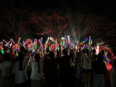 -三亚红色娘子军演艺公园景区