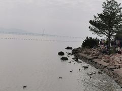 -深圳湾公园(南山区)