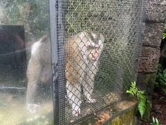 -海南热带野生动植物园