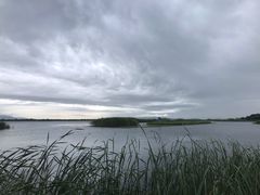 -太湖湖滨国家湿地公园-停车场