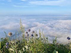-白草畔自然风景区