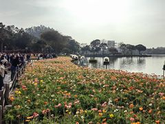 -顺峰山公园