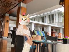 -日落吧·海景咖啡厅·餐酒吧·鸡尾酒·下午茶·乐队表演·浪漫夕阳·三亚文华东方酒店