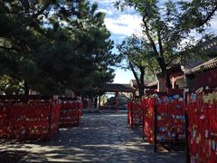 -香山公园