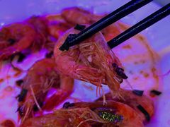 -钱大妈海鲜饭店(保利林语店)