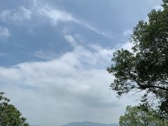 -西山樟坞健康果园枇杷杨梅采摘