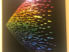 -深圳四季酒店·馥自助餐厅