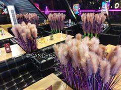 -枫花园汽车电影院(朝阳公园店)
