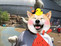 -烟台海昌鲸鲨海洋公园