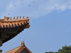 -清东陵