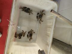 -七的湖·江南蟹舫·阳澄湖农家菜(蟹舫苑店)