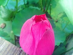 -舟山甬东休闲鱼庄(农家乐)