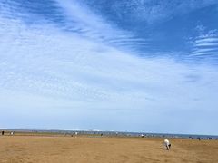 -日照海滨国家森林公园