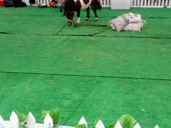 android_upload_pic-武汉华夏国际影城(鲁广店)