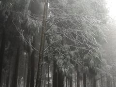 -山王坪喀斯特国家生态公园