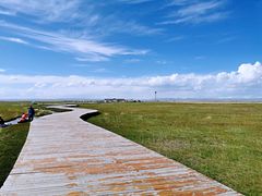 -青海湖仙女湾景区