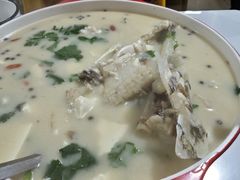 -煲来饱去冷水鱼