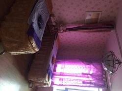 -本真坊美容美体沙龙