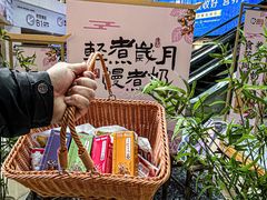-鹏欣水游城