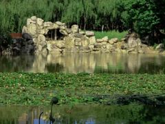 -西安市长乐公园