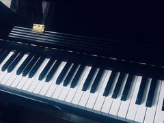 -弘智卉艺术教育/高端琴房(中央音乐学院店)