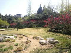 -玲珑塔公园