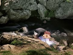 -羊山湖公园