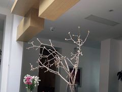 -自如ZSPACE四合院艺术餐厅