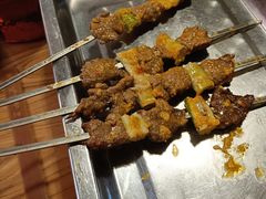 -福苗小骆驼烧烤(莲湖路店)