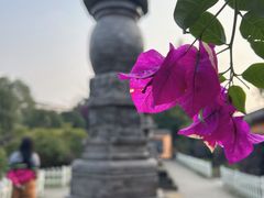 -田鸭肠·非遗火锅(彭州店)