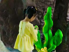 -南昌融创海世界