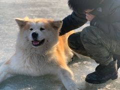 -东坝千亩湖公园