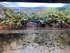 -上海海洋水族馆