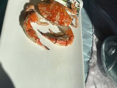 -宾朋海鲜饭庄(兴海路店)