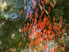 -水磨沟公园