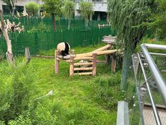 -沈阳森林动物园