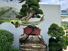 -双季花艺园艺市场(浦东店)