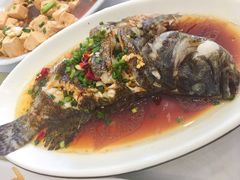 -金海湾海鲜排档(朱家尖店)