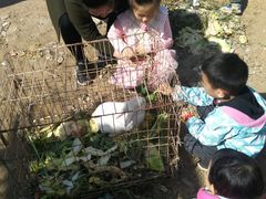 -大自然农场蔬菜草莓采摘园