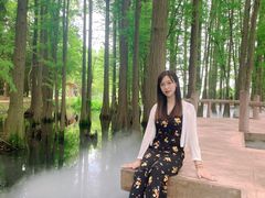 -东湖落雁景区