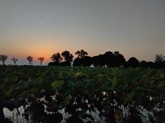 -滆湖低碳生态公园