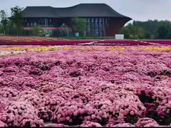 -中国天府农业博览园