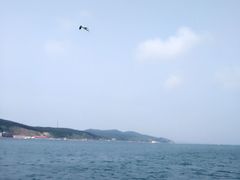 -兴旺渔家