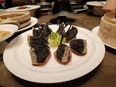 -海派悦庭·海胆烧麦·新融合菜(凯德广场店)