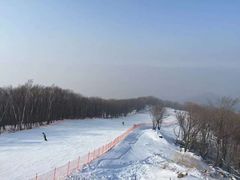 -中旅松花湖滑雪场